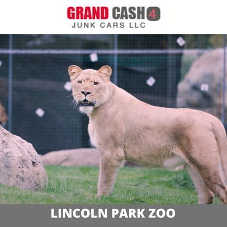 Lincoln Park Zoo